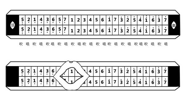 口琴音阶图