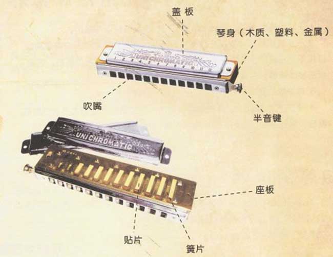 半音阶口琴音阶图