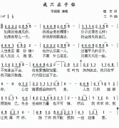 我只在乎你